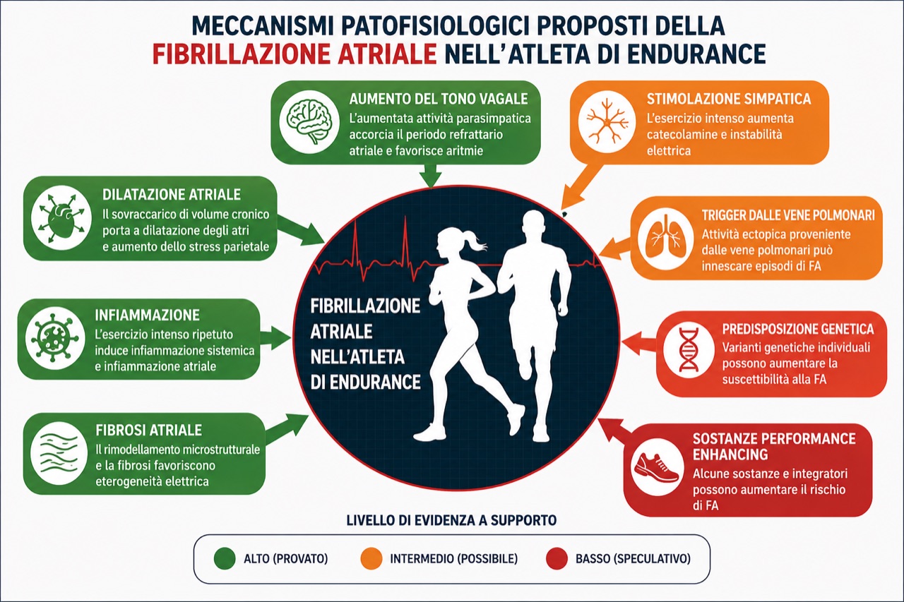 Fibrillazione Atriale negli Atleti: Diagnosi e Gestione